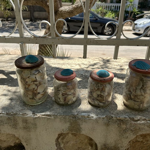 Seashells like new