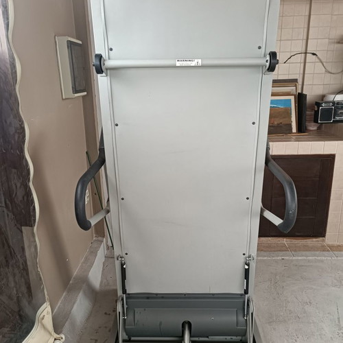 Horizon Paragon treadmill used with shock-absorbing deck