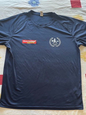Blue athletic T-shirt like new, size XL, dry-fit material