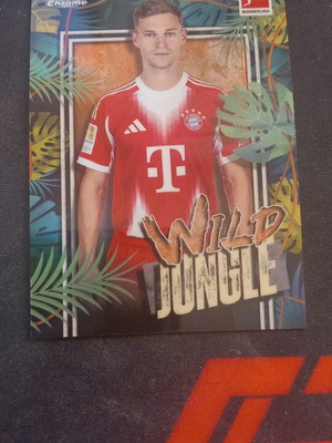 Joshua Kimmich Wild Jungle Topps Chrome Bundesliga card like new