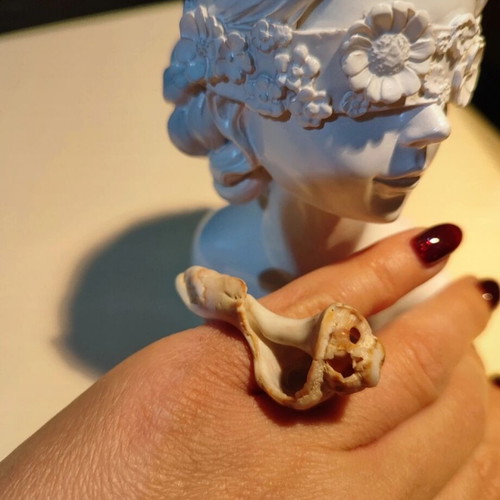 Natural shell ring new, beige