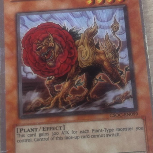 Botanical Lion Yu-Gi-Oh! card, Crossroads of Chaos series, NM English edition