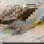  Στρατιωτάκια 1/35 διόραμα Β' ΠΠ χαρακώματα ανατολικό μέτωπο