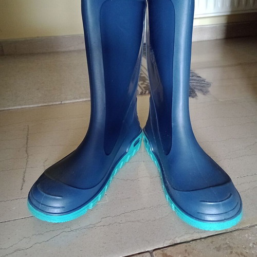 Women's galotses used, blue with turquoise sole, size 38