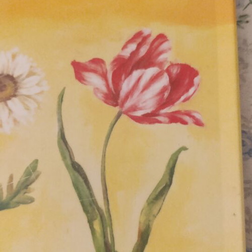 Serving Placemat 30x21 cm new