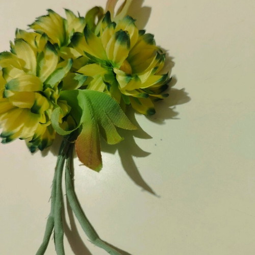 Boutonniere used, 60s fabric