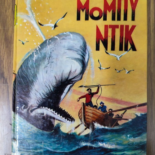 Moby Dick children's book used