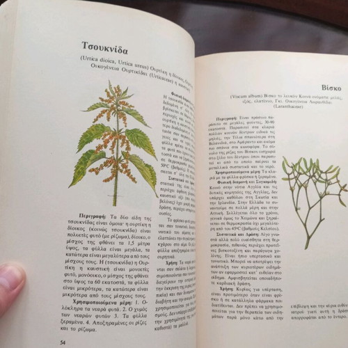 Medicinal herbs and their uses used book