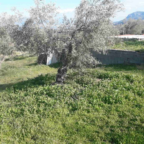 Land plot 220 sqm with 13-meter road frontage, Panorama Zegolatio location
