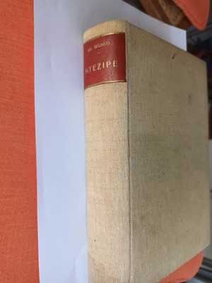 Ntezipé by Annemarie Selinco new Greek historical novel