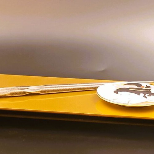 Designer Sushi Serving Tray from Plexiglas 12x28 cm new