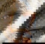  πέτρα