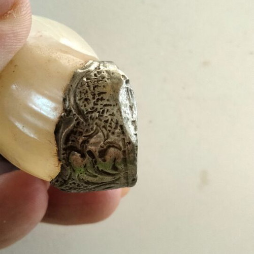Vintage Tibetan Ritual Shell 7cm with Turquoise and Civet, like new