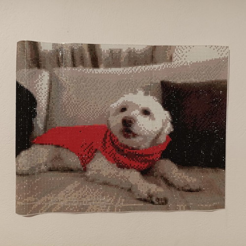 Custom Diamond Painting from Your Photo