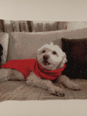 Custom Diamond Painting from Your Photo