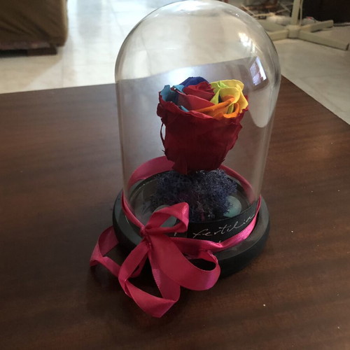 Forever Rose rainbow in glass dome with wooden base
