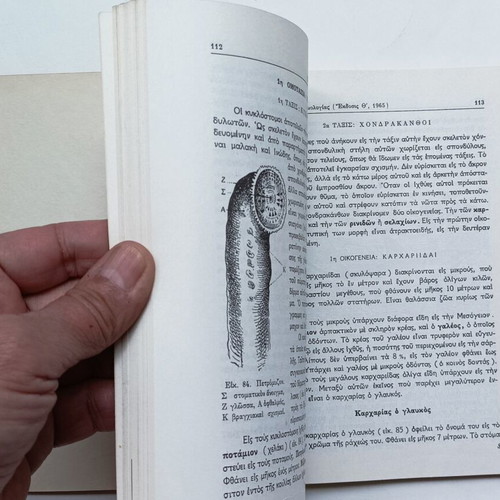 Zoology Handbook School Textbook Gymnasium 1965 like new