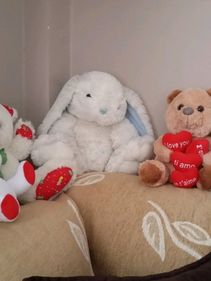 Stuffed toys like new