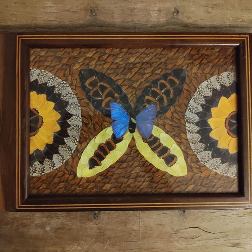 Handmade wooden serving tray with real butterfly wings, used