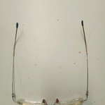 Wire glasses frame used, silver color