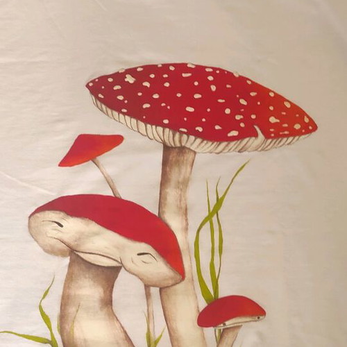 Women's T-shirt hand-painted with mushroom fairies like new