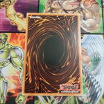 Card Trooper SDCL trading card used