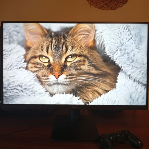 LG 27" Full HD IPS Monitor 27MP450-B