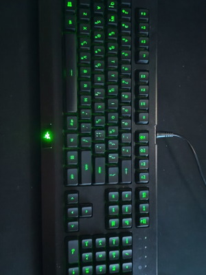 Razer Cynosa keyboard