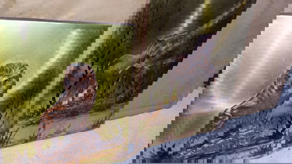 Δυο μεταλλικοι πινακες σε 3D.Δυν.Μεταφορας