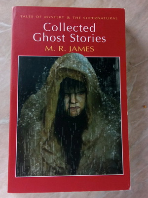 Collected Ghost Stories book like new, paperback