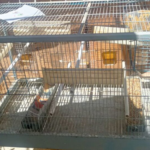 Large bird cage like new with 6 external feeders and 4 waterers