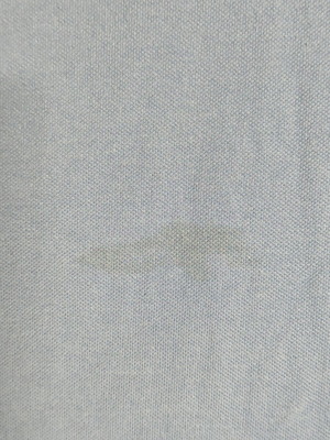 Polo Ralph Lauren Classic Fit men's polo shirt, blue, XL