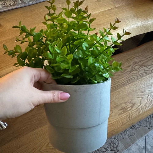 Plastic plant with pot like new