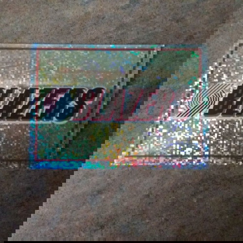 Αυτοκόλλητο Panini NBA Basketball '95-'96 Νο249 καινούργιο