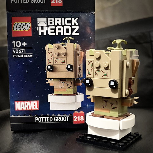 LEGO BrickHeadz Marvel Potted Groot 218 set 40671