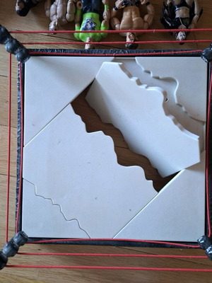 WWE set like new