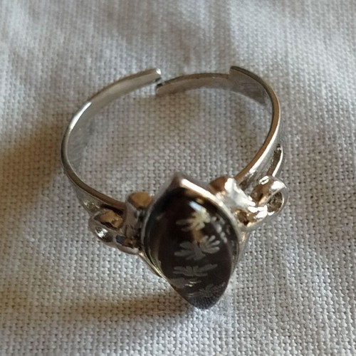 Stainless steel ring used with adjustable size