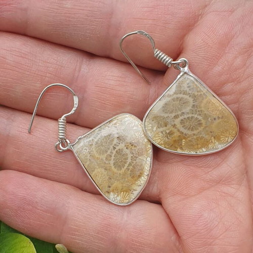 Coral fossil earrings new, silver plated 925