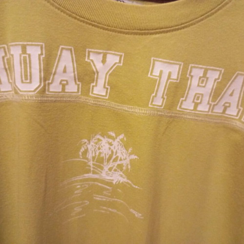Vintage 00's T-shirt with Muay Thai print, like new, size M