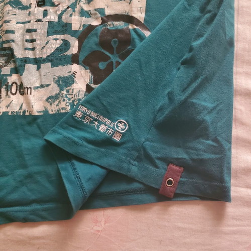 Pull & Bear Tokyo Suburbs graphic long-sleeve tee size L, teal, like new