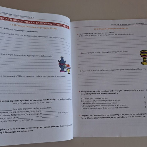 Oikiaki Oikonomia A & B Gymnasiou textbook unused