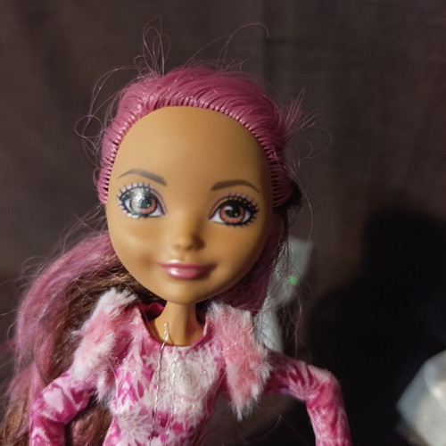 Κούκλα Mattel Ever After High Briar Beauty Epic Winter σαν καινούργιο με πολλά δώρα