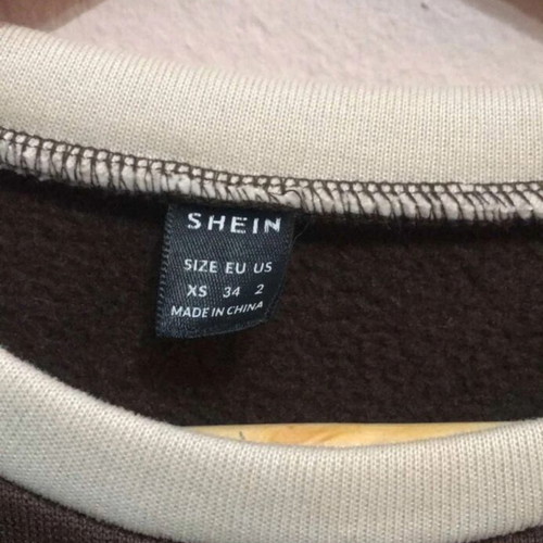 Shein XS sweatshirt with dragon print, like new, brown