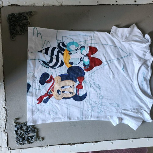 Disneyland T-shirt used, size 110 cm for 5 years old
