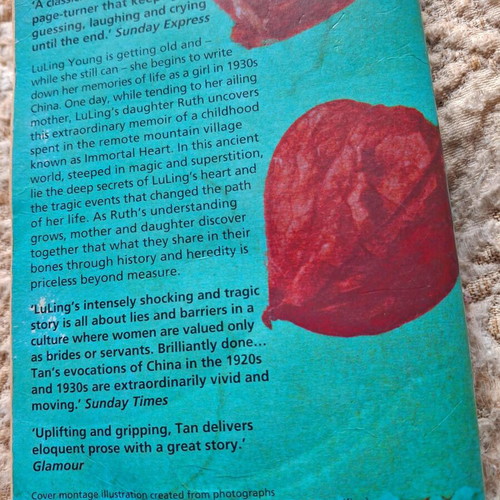 The Bonesetter's Daughter book used, English