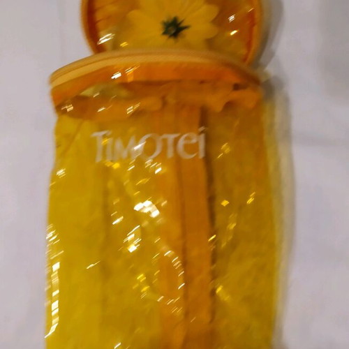 Plastic Transparent Organizer Bag Collectible like new