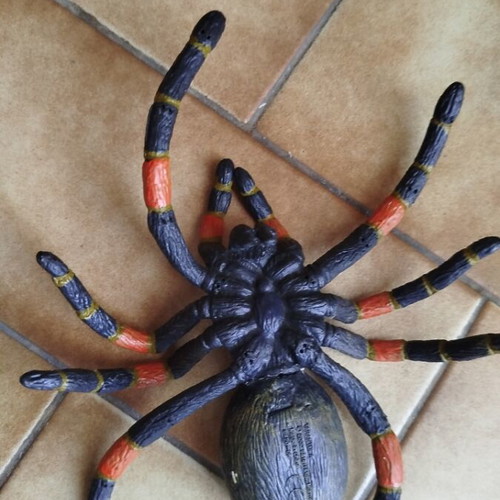 Figure Orange-Kneed Tarantula Safari LTD collection like new