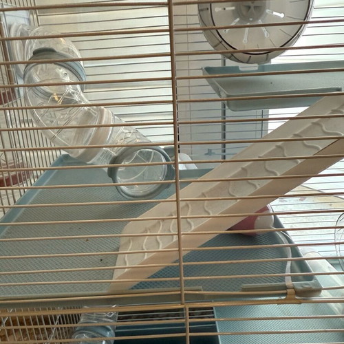 Large rodent cage like new