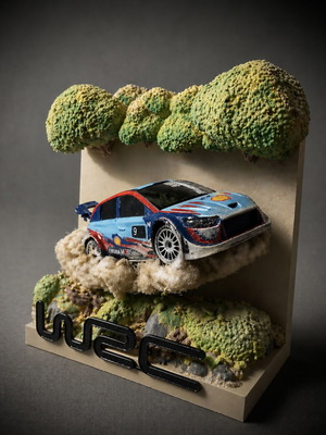Hyundai i20N WRC Handmade Diorama New