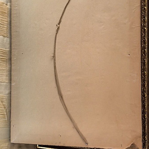 Vintage Landscape Print in Gold Carved Frame like new
